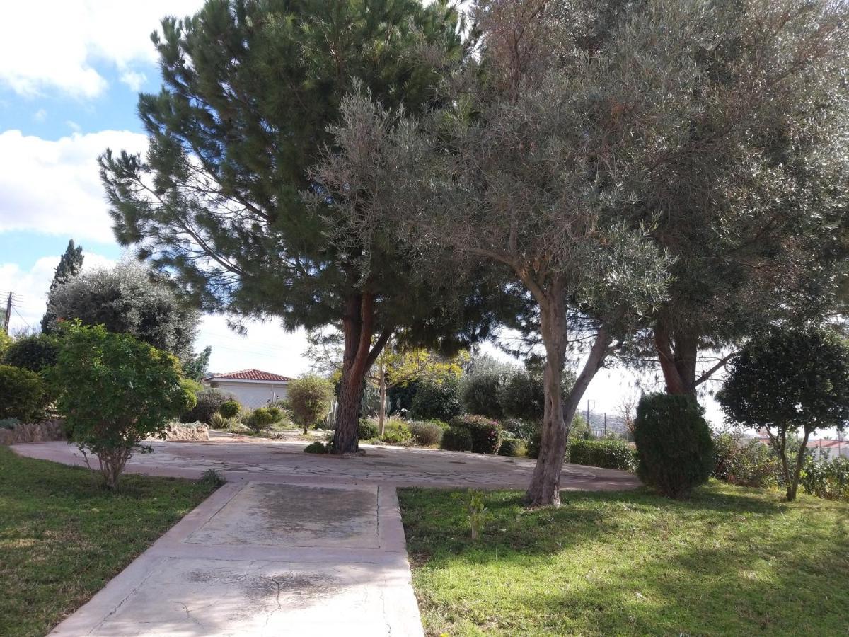 Tala Gardens Apartment Dış mekan fotoğraf